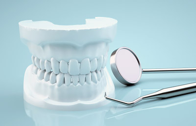 石膏の歯の模型のイメージ（＊イラスト：acworksさん）