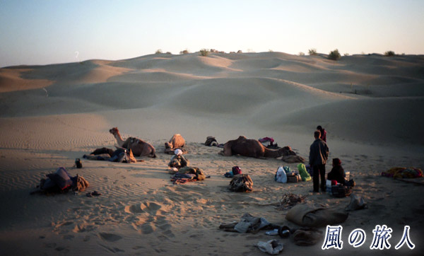 砂漠で野営（インド　タール砂漠）の写真