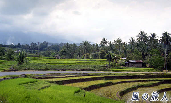 田園風景の写真　インドネシア