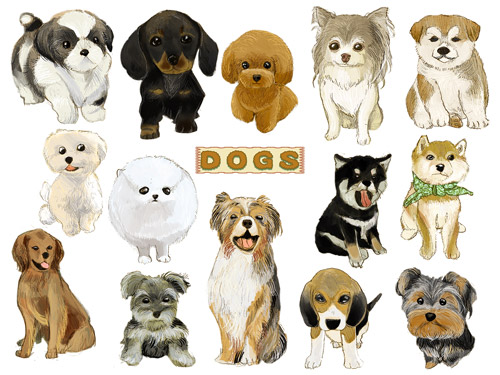 色々な犬のイラスト（＊イラスト：NINOさん）