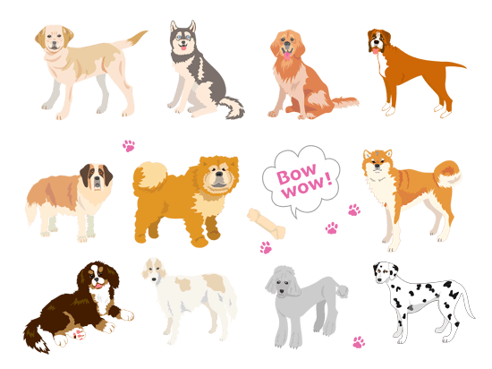 様々な大型犬のイメージ（＊イラスト：しら菊さん）