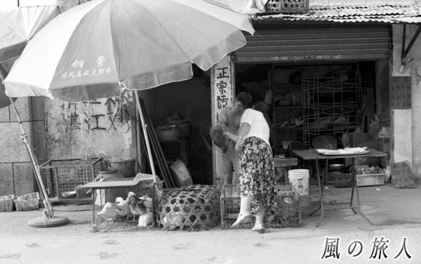 深圳　鳥屋と品定めをする客の写真