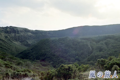 カルデラ内の原生林　八丈島、三宅島卒業旅行記の写真