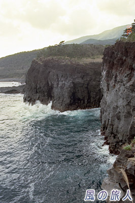 サタドー岬　八丈島、三宅島卒業旅行記の写真