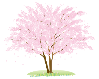 桜のイメージ（＊イラスト：がらくったさん）