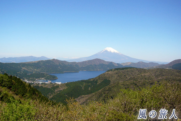 大観山から見る富士山の写真