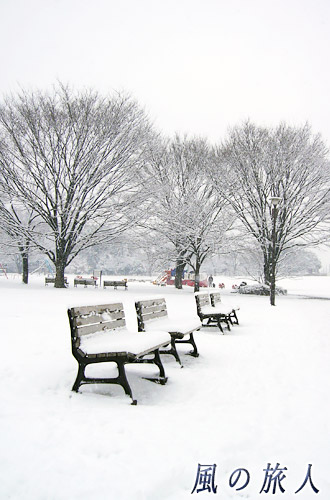 雪の砧公園の写真