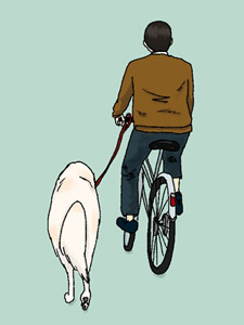 自転車で犬の散歩のイメージ（＊イラスト：かれーさん）