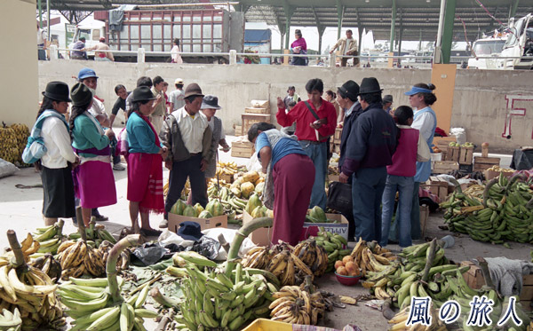 エクアドル　バナナ市場の写真