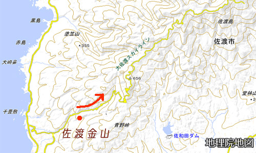 佐渡島　金山周辺の地図　地理院の地図