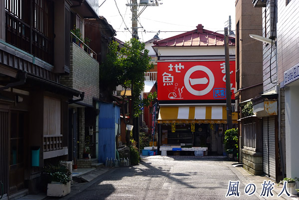 神奈川県三浦市三崎町の町並み　路地と魚屋さんの写真