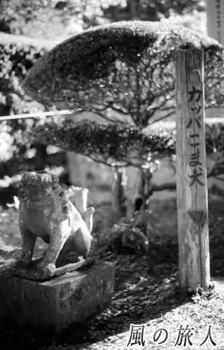 岩手　遠野　カッパの顔をした狛犬の写真