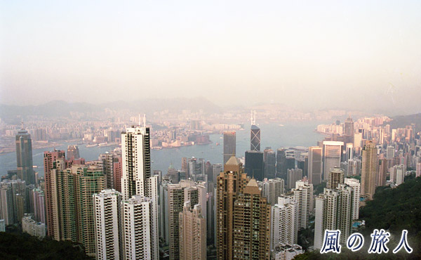 香港のビル群の写真