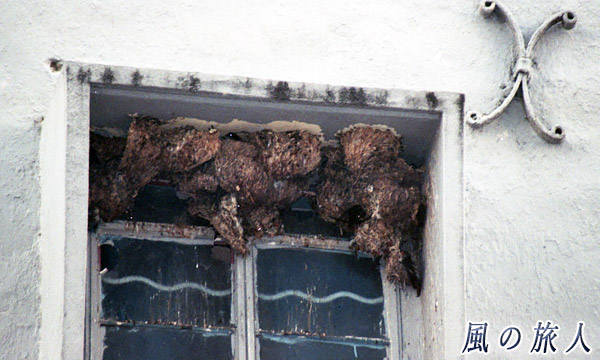 マレーシア　サラワク　シブ　窓枠を埋め尽くすツバメの巣の写真