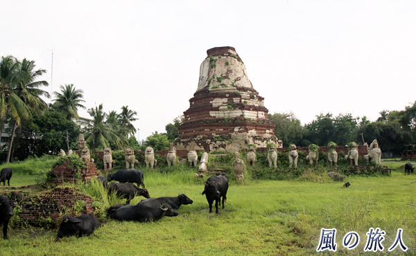 タイ　アユタヤ遺跡　　キャバリアの写真