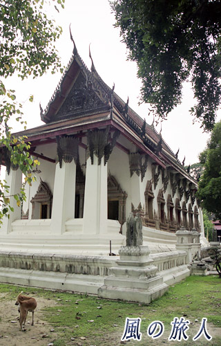タイ　アユタヤ遺跡　　寺院とわんこの写真