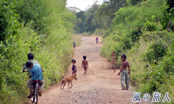 ラオス　シーパンドン　コーン島の道を歩く子供たちとワンコの様子の写真