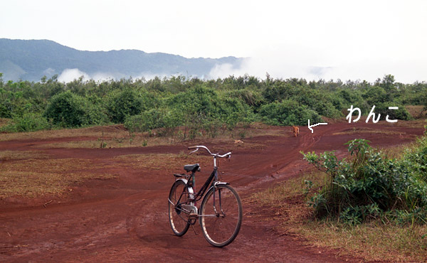 ベトナム　DMZツアー　ケサン基地の自転車とワンコの写真