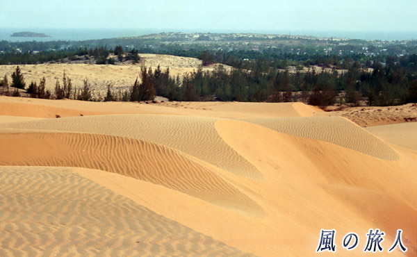 ベトナム　ムイネ砂丘の写真
