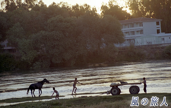 川辺で馬と遊ぶ子供たち（トルコ）の写真