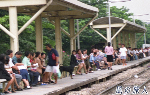 タイ、バンコク　電車を待つわんこの写真
