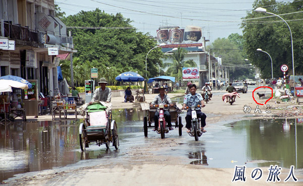 カンボジア　水が残る道路の写真