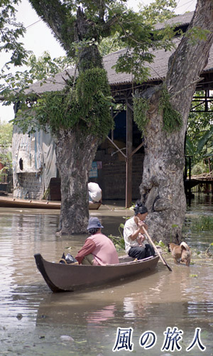 カンボジア　小船とワンコの写真