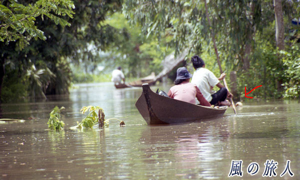 カンボジア　小舟の水先案内をするワンコの写真