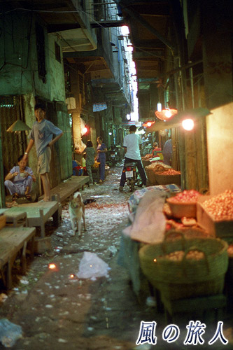 ベトナム　ホーチミン　市場の路地にいたワンコの写真