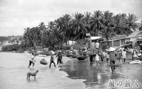ベトナム　ムイネ　浜の作業を見守るワンコの写真