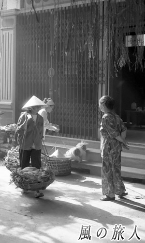 ベトナム　ハノイ旧市街のワンコの写真