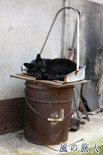 福山鞆の浦　塵取りでお昼寝する黒猫（2007年）の写真