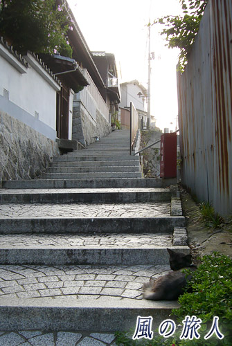 尾道2007年　階段と猫の写真