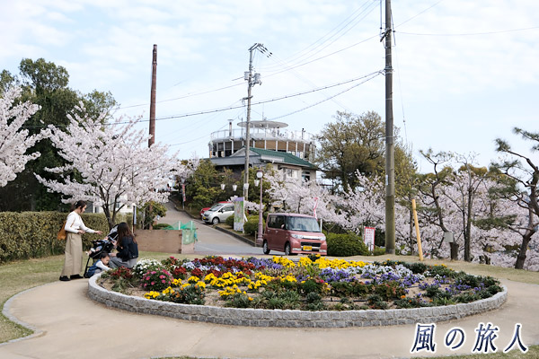 尾道　千光寺公園の花壇と頂上展望台の写真
