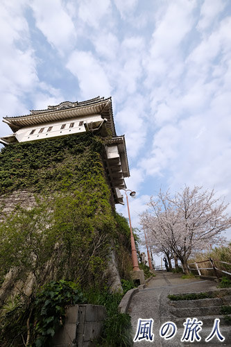 尾道　尾道城の写真