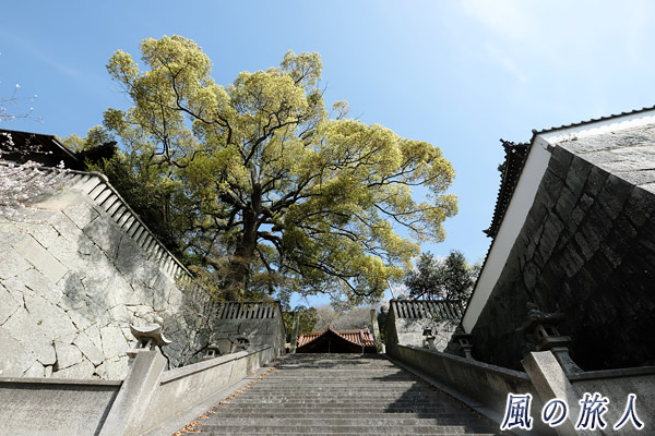 尾道　御袖天満宮の階段と石垣の写真