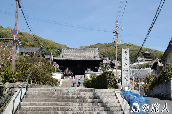 尾道　西國寺門前の写真