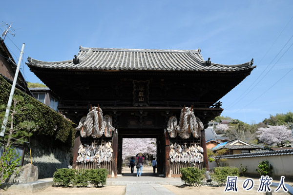 尾道　西國寺の仁王門の写真