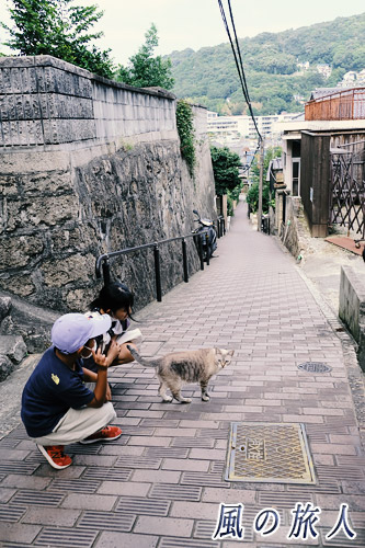 尾道　レンガ坂　子供から距離を置く猫の写真