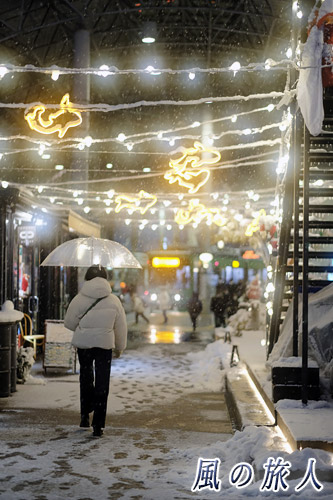 イルミネーションと雪（広島市内）の写真