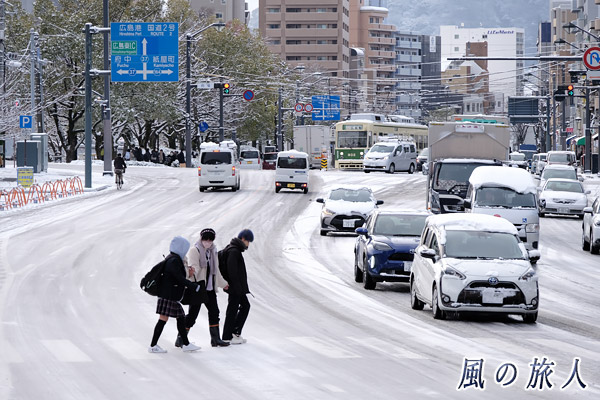 雪が積もる広島市内の写真