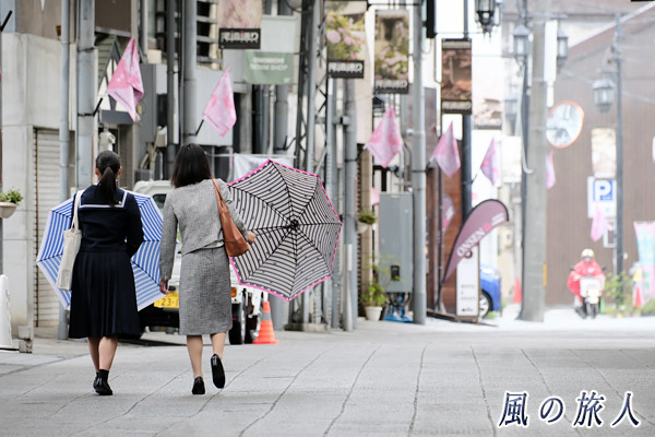 尾道　おそろいの柄の傘を持って入学式に向かう親子の写真