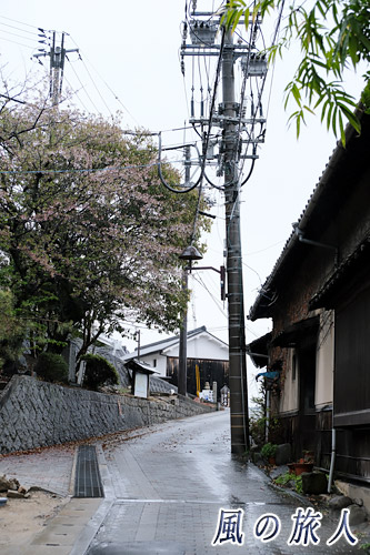 尾道　浄土寺付近の坂道の写真
