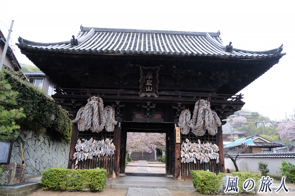 尾道　西國寺仁王門の写真
