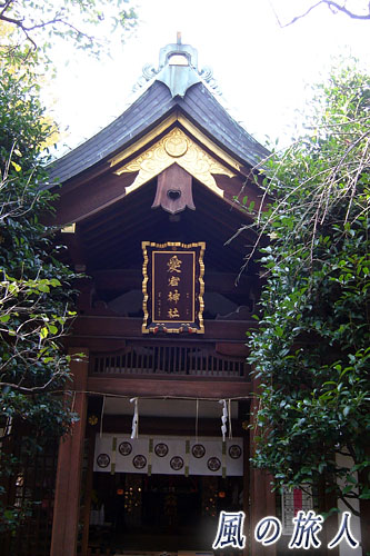 港区　愛宕神社の社殿の写真
