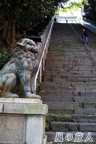 愛宕神社　参道の階段　出世の石段の写真