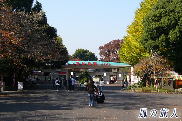 上野公園　上野動物園の入り口の写真