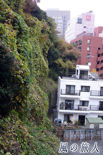 愛宕神社　東京　愛宕山の斜面の写真