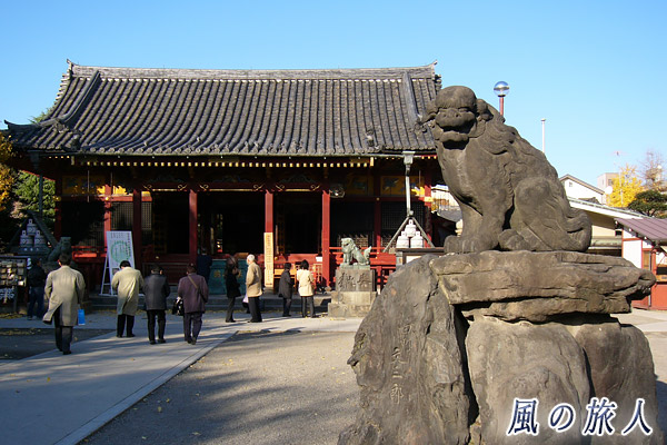 浅草神社の写真