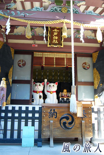 東京台東区　今戸神社　拝殿に並ぶ巨大な招き猫の写真